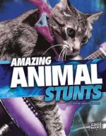 Amazing Animal Stunts