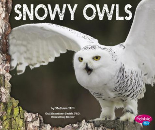 Owls: Snowy Owls