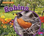 Robins