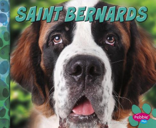 Saint Bernards