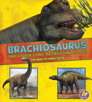 Brachiosaurus and Other Long-Necked Dinosaurs
