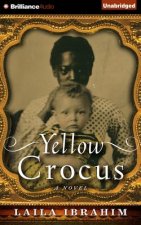 Yellow Crocus