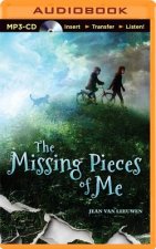 The Missing Pieces of Me