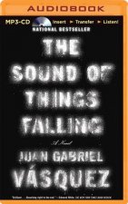 The Sound of Things Falling