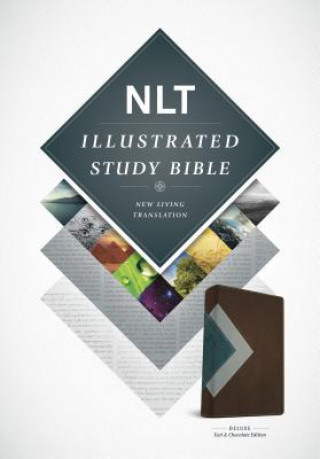 Illustrated Study Bible