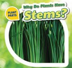 Why Do Plants Have Stems?