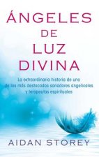 Angeles de luz divina / Angels of Divine Light