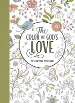 Color of God's Love