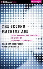 The Second Machine Age