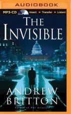 The Invisible