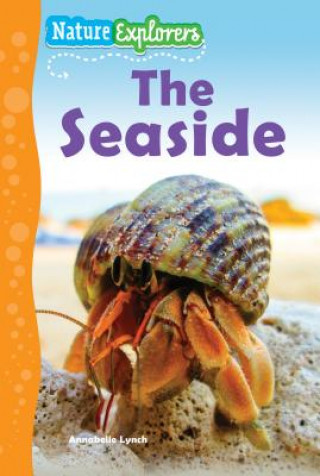 The Seaside