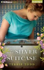 The Silver Suitcase