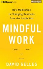 Mindful Work