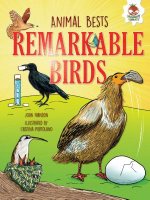Brilliant Birds