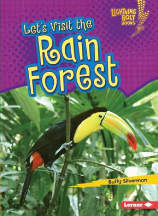 Lets Visit the Rain Forest