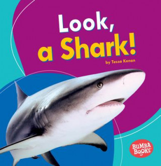 Look, a Shark!