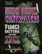 Mini Mind Controllers