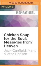 Chicken Soup for the Soul - Messages from Heaven