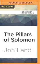 The Pillars of Solomon