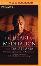 The Heart of Meditation