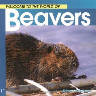 Welcome to the World of Beavers