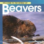 Welcome to the World of Beavers