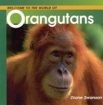 Welcome to the Whole World of Orangutans