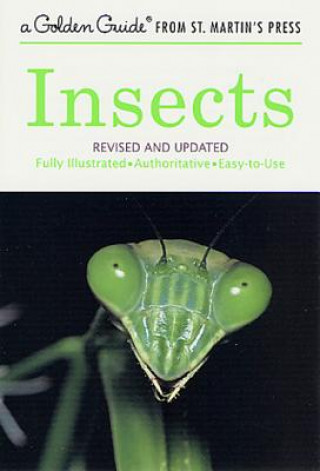 INSECTS