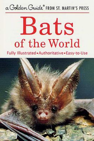 Bats of World