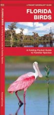 Florida Birds
