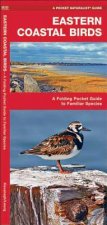 Eastern Coastal Birds