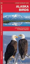 Alaska Birds