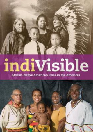 IndiVisible