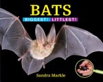 Bats