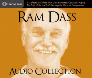 Ram Dass Audio Collection