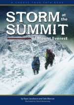 Storm at the Summit of Mount Everest