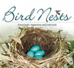 Bird Nests