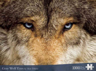 Gray Wolf Eyes
