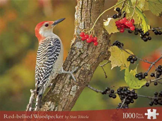 Red-bellied Woodpecker