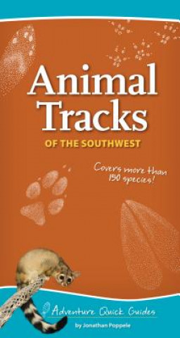 Animal Tracks of the Southwest