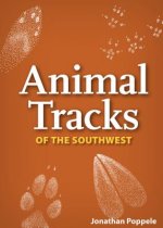 Animal Tracks of the Southwest