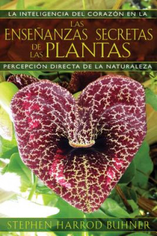Las enseńanzas secretas de las plantas / The Secret Teachings of Plants