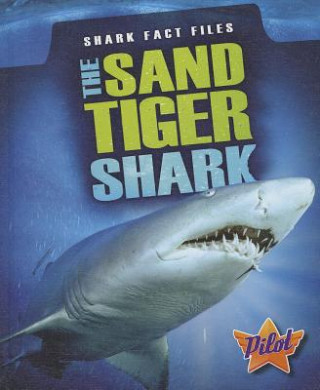 The Sand Tiger Shark