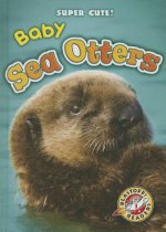 Baby Sea Otters