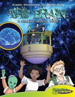 The Brain