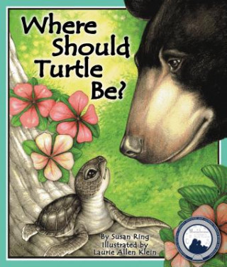 Where Should Turtle Be