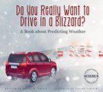 Do You Really Want to Drive in a Blizzard?