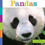 Pandas