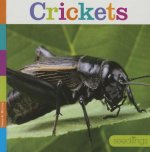 Crickets