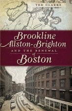 Brookline, Allston-Brighton and the Renewal of Boston